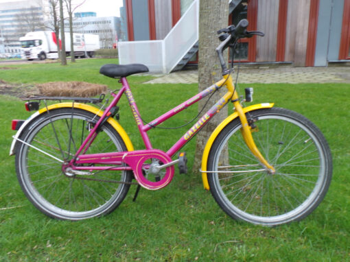 Gazelle Street cruiser 3 versnellingen